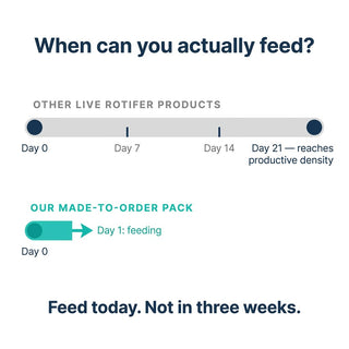 Day Zero advantage: other live rotifer products take 21 days to reach productive density, our made-to-order pack starts feeding on Day 1