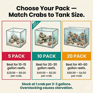 Pack size guide: 5-pack for 10–15 gallon reefs, 10-pack for 20–30 gallon reefs, 20-pack for 40–60 gallon reefs
