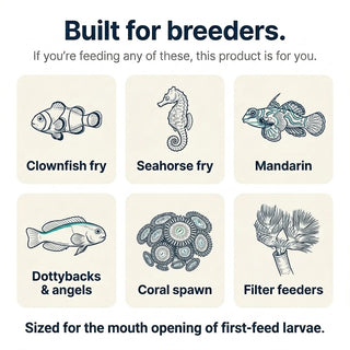 Six target species for L-type rotifers: clownfish fry, seahorse fry, mandarin, dottybacks and angels, coral spawn, filter feeders